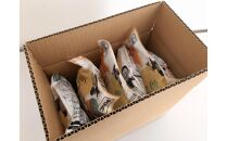 旬まるかじり!&nbsp;石川県産&nbsp;かぼちゃ&nbsp;300ｇ&nbsp;x&nbsp;6袋