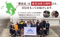 【1週間以内発送】鹿児島県産 紅はるか使用 焼き干し芋120g×10袋 | 菓子 和菓子 食品 干し芋 野菜 サツマイモ 焼き芋 鹿児島県産 紅はるか 乾物 人気 秋 おやつ スイーツ ヘルシー ナチュラル ギフト 健康 朝食 間食 保存食 無添加 栄養豊富 さつまいもスナック 伝統菓子 鹿児島県 大崎町 F609