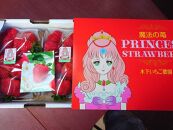 魔法のいちご さちのか (1パック300g以上×2パック) 生産者おまかせ