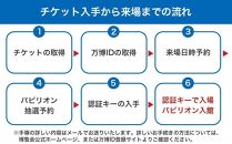 【豊中市ふるさと納税】2025年 日本国際博覧会（大阪・関西万博）入場チケット＜一日券／中人＞EXPO 2025