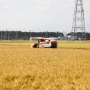 精米　令和６年産ひとめぼれ　５キロ【米&nbsp;お米&nbsp;こめ&nbsp;コメ&nbsp;ご飯&nbsp;ごはん&nbsp;仙台】