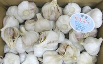 【6月上旬頃～発送】乾燥にんにく 1kg (バラ詰め）