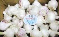 【5月上旬頃～発送】にんにく&nbsp;国産&nbsp;香り際立つ&nbsp;生にんにく&nbsp;1kg