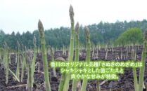 【6月中旬頃～発送】【訳あり】アスパラガス&nbsp;(さぬきのめざめロング)　夏芽&nbsp;1kg