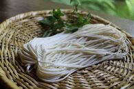 【長野県産小麦100％使用】風味豊かな細うどん　わちがいざざ　6人前入