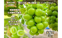 ぶどう&nbsp;2026年&nbsp;&nbsp;シャインマスカット&nbsp;家庭用&nbsp;約3kg&nbsp;&nbsp;家庭用&nbsp;ギフト&nbsp;農林大臣賞2回受賞&nbsp;贈り物&nbsp;岡山&nbsp;果物&nbsp;フルーツ&nbsp;&nbsp;採りたて発送&nbsp;農家直送&nbsp;数量限定&nbsp;新鮮&nbsp;&nbsp;訳あり7月中旬から発送