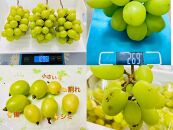 ぶどう&nbsp;2026年&nbsp;&nbsp;シャインマスカット&nbsp;家庭用&nbsp;&nbsp;約5kg&nbsp;|&nbsp;岡山&nbsp;国産&nbsp;果物&nbsp;訳あり&nbsp;フルーツ&nbsp;シャイン&nbsp;マスカット2026年7月中旬から発送