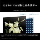 TVS REGZA【標準設置費込み】4K液晶テレビ REGZA ( レグザ ) E350Mシリーズ 43V型 [ 4K対応 / Apple AirPlay対応 / 4Kチューナー内蔵 / YouTube対応 ] 43E350M 【 テレビ TV 43型 43インチ 43V 液晶 4K E350M series Apple Airplay2対応 家電 人気 おすすめ 】