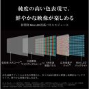 TVS REGZA【標準設置費込み】液晶テレビ REGZA ( レグザ ) 100V型 [ 4K対応 / BS・CS 4Kチューナー内蔵 / YouTube対応 ] (要事前見積) 100Z970M 【 テレビ TV 100型 100インチ 100V Mini LED 液晶 4K Z970M series タイムシフトマシン搭載 家電 人気 おすすめ 】