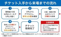 【大東市ふるさと納税】2025年 日本国際博覧会（大阪・関西万博）入場チケット＜特別割引券／小人＞EXPO 2025