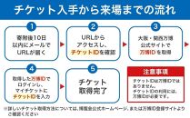 【大東市ふるさと納税】2025年 日本国際博覧会（大阪・関西万博）入場チケット＜夜間券／大人＞EXPO 2025