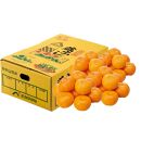 【秀品】蔵出しみかん&nbsp;Lサイズ&nbsp;約5kg&nbsp;和歌山県&nbsp;海南市下津町