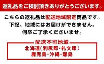 【秀品】蔵出しみかん&nbsp;Lサイズ&nbsp;約5kg&nbsp;和歌山県&nbsp;海南市下津町