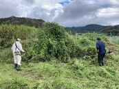 チケット 代行サービス 実家のお困りごと〈軽作業〉 2名1日プラン ( 筑北村内 ) おてこ衆