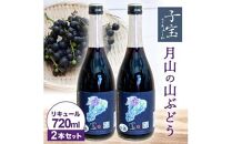 酒田の酒屋厳選 子宝リキュール 月山の山ぶどう 720ml×2本[大泉]