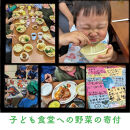 ＜3か月定期便＞【緑のゆうき】購入された野菜の売上の1％が、社会貢献に&nbsp;京都産のこだわり野菜（有機野菜、栽培期間中農薬・化学肥料不使用など）を&nbsp;美味しいタイミングで収穫したセット