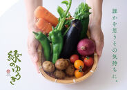 ＜3か月定期便＞【緑のゆうき】購入された野菜の売上の1％が、社会貢献に&nbsp;京都産のこだわり野菜（有機野菜、栽培期間中農薬・化学肥料不使用など）を&nbsp;美味しいタイミングで収穫したセット