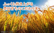 【数量限定】豊田市産「大地の風」精米6kg（2kg×3袋）