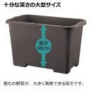 菜園上手 ジャンボ 65型