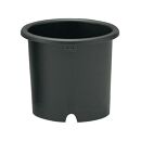 菊鉢10号　10個セット