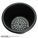 菊鉢8号　10個セット