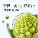 冷凍カットロマネスコカリフラワー 400g×4袋（1.6kg）