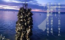 【復興支援】山口水産の能登かき&nbsp;殻付き一斗缶（約70～80粒）