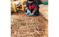 かじるの大好き　小動物かじり木セット