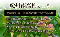 紀州南高梅使用 はちみつ うす塩味 完熟梅干し 約640g [TM197]