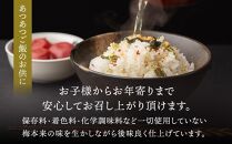 紀州南高梅使用 はちみつ うす塩味 完熟梅干し 約640g [TM197]