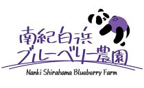 南紀白浜産ブルーベリー&nbsp;約800g&nbsp;大容量