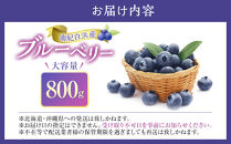 南紀白浜産ブルーベリー&nbsp;800g&nbsp;大容量