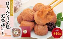 紀州南高梅使用 はちみつ うす塩味 完熟梅干し 約640g [TM197]