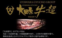 大田原牛 100％ 黒カレー 2パックセット | レトルト カレー 和牛  牛肉 ビーフカレー 高級