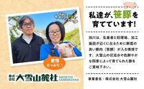 【旭川産ブランド豚】希少部位！笹豚バラ900g(300g×3パック) 【 豚肉 お肉 豚バラ 豚バラ肉 しゃぶしゃぶ 鍋 お鍋 焼肉 焼き肉 やきにく 小分け 個包装 冷凍 国産 北海道 ギフト スライス お取り寄せ グルメ 旭川市 北海道 】_04810