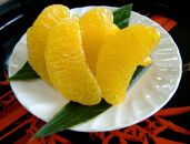 和歌山由良町産&nbsp;はっさく&nbsp;約5kg&nbsp;サイズ混合&nbsp;(S～３L)&nbsp;&nbsp;訳あり&nbsp;御家庭用&nbsp;［SL40］