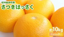 和歌山由良町産さつきはっさく&nbsp;約10kg&nbsp;秀品&nbsp;サイズおまかせ&nbsp;(Ｌまたは２Ｌ)&nbsp;いずれかお届け&nbsp;［SL41］