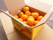 和歌山由良町産さつきはっさく&nbsp;約10kg&nbsp;秀品&nbsp;サイズおまかせ&nbsp;(Ｌまたは２Ｌ)&nbsp;いずれかお届け&nbsp;［SL41］