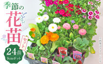 季節の花苗24セット[花苗 花苗セット 花 初夏 夏 花壇 庭 鉢 玄関 プランター 寄せ植え ガーデニング 土っ子倶楽部 プレゼント ギフト ]
