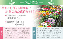 季節の花苗24セット【花苗 花苗セット 花 季節の花 花セット ガーデニング 家庭菜園 園芸 初夏 夏 花壇 庭 鉢 玄関 プランター 寄せ植え  おうち時間 趣味 ベランダ 土っ子倶楽部  プレゼント ギフト 】