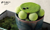 【FUKUNAGA901】バルクアイス&nbsp;抹茶(たっぷり2L入り)［&nbsp;京都&nbsp;駅ビル&nbsp;大人気カフェ&nbsp;大容量&nbsp;アイス&nbsp;抹茶&nbsp;&nbsp;人気&nbsp;おすすめ&nbsp;アイスクリーム&nbsp;スイーツ&nbsp;お菓子&nbsp;洋菓子&nbsp;ファミリーパック&nbsp;ご自宅用&nbsp;ギフト&nbsp;プレゼント&nbsp;お取り寄せ&nbsp;通販&nbsp;送料無料&nbsp;ふるさと納税&nbsp;］