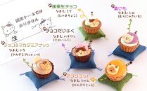 ねこみにタルト 9個入り＜フレッシュタルトのお店STYLE＞