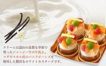 鬼盛り&nbsp;ミニフルーツタルト&nbsp;4個入り＜フレッシュタルトのお店STYLE＞【スイーツ&nbsp;タルト&nbsp;ケーキ&nbsp;フルーツ&nbsp;誕生日ケーキ&nbsp;果物&nbsp;岡山県&nbsp;岡山市&nbsp;おすすめ&nbsp;デザート】