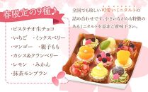 春のみにたるとアソート&nbsp;9個入り＜フレッシュタルトのお店STYLE＞【スイーツ&nbsp;タルト&nbsp;ケーキ&nbsp;フルーツ&nbsp;ミニタルト&nbsp;果物&nbsp;岡山県&nbsp;岡山市&nbsp;おすすめ&nbsp;デザート】