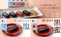 金箔入り特撰日光カステラ2種・ちいさな羊羹5種セット ｜ カステラ 羊羹 ようかん 和菓子 スイーツ 金箔 ハニー 抹茶 塩 黒蜜 苺 イチゴ チョコ ミルク 日光カステラ本舗 日光