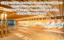 【ALA HOTEL KYOTO】ホテル宿泊ギフト券3000円分(ホテルの宿泊に利用可) ［ 京都 駅近 天然温泉 大浴場 サウナ 朝食 ビュッフェ 高評価 ホテル 宿泊 ギフト券 割引券 割引 チケット 宿泊券 人気 おすすめ ホテル 宿泊 旅行 観光 グルメ ふるさと納税 ］