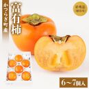 富有柿 赤秀品大玉6個～7個入 こだわり農家厳選【2025年10月末頃から12月末頃順次発送】【KG30】