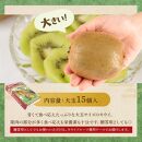 和歌山県産 秀品 キウイフルーツ 大玉15個入 こだわり農家厳選 先行予約 【2025年12月初旬頃から2026年1月中旬頃順次発送】【KG28】