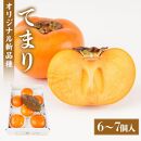 紀州てまり（和歌山県ブランド柿）6～7個入 こだわり農家厳選 先行予約 ［2026年9月末から10月末頃順次発送］［KG27］