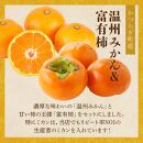 道の駅くしがきの里セット 富有柿3個・温州みかん約30個の詰め合わせ こだわり農家厳選［2026年11月初旬から11月末頃順次発送］［KG29］